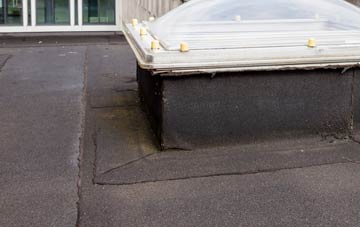 disadvantages of Plain Spot flat roofs
