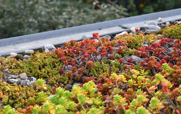 the cost of Plain Spot green roof installation