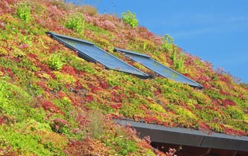Plain Spot living roof systems