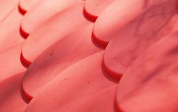 Plain Spot plastic roof costs