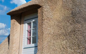 Plain Spot thatch roof disadvantages